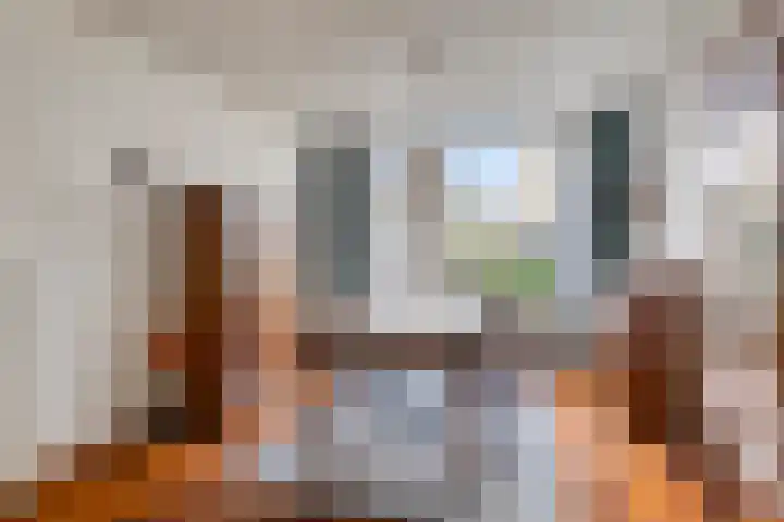 Tolhuislaan 22 Etten-Leur thumbnail 14
