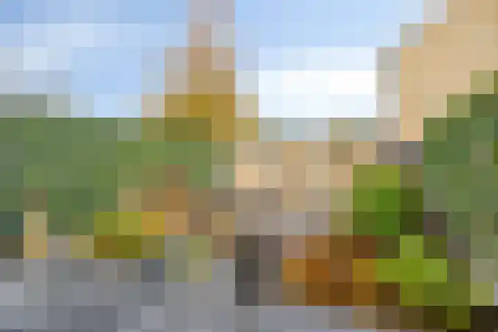 Tolhuislaan 22 Etten-Leur thumbnail 20