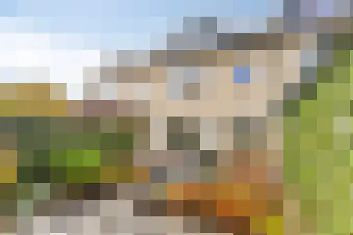 Tolhuislaan 22 Etten-Leur thumbnail 21