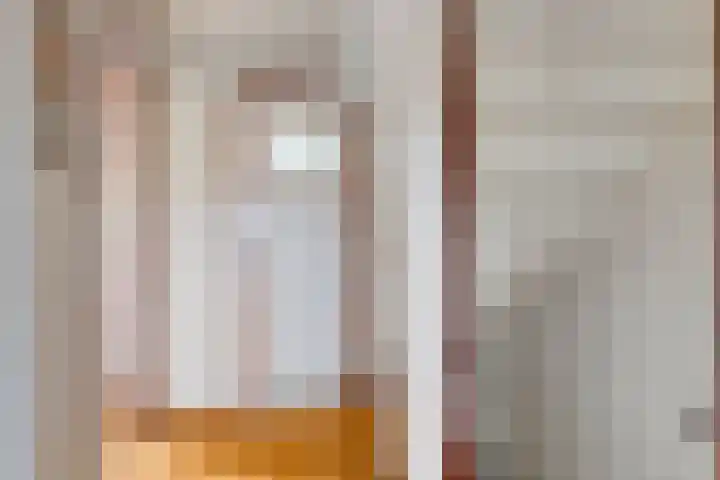 Tolhuislaan 22 Etten-Leur thumbnail 24