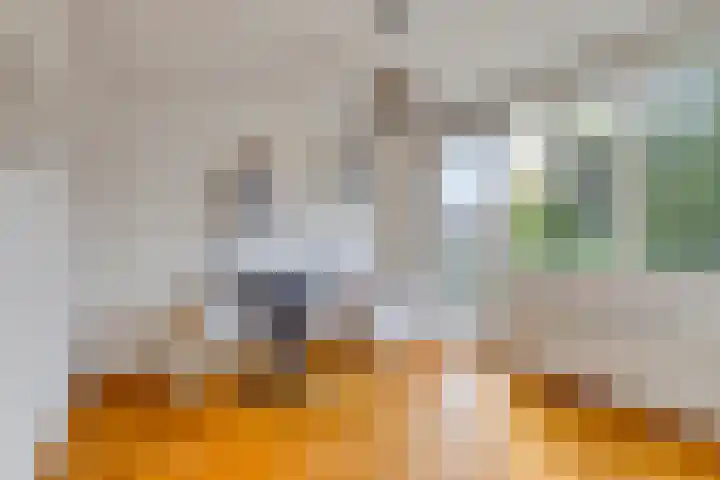 Tolhuislaan 22 Etten-Leur thumbnail 29