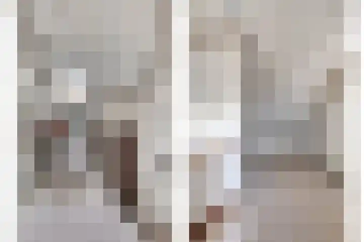 Tolhuislaan 22 Etten-Leur thumbnail 34