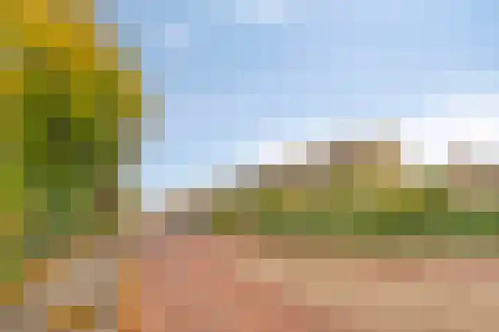 Tolhuislaan 22 Etten-Leur thumbnail 38