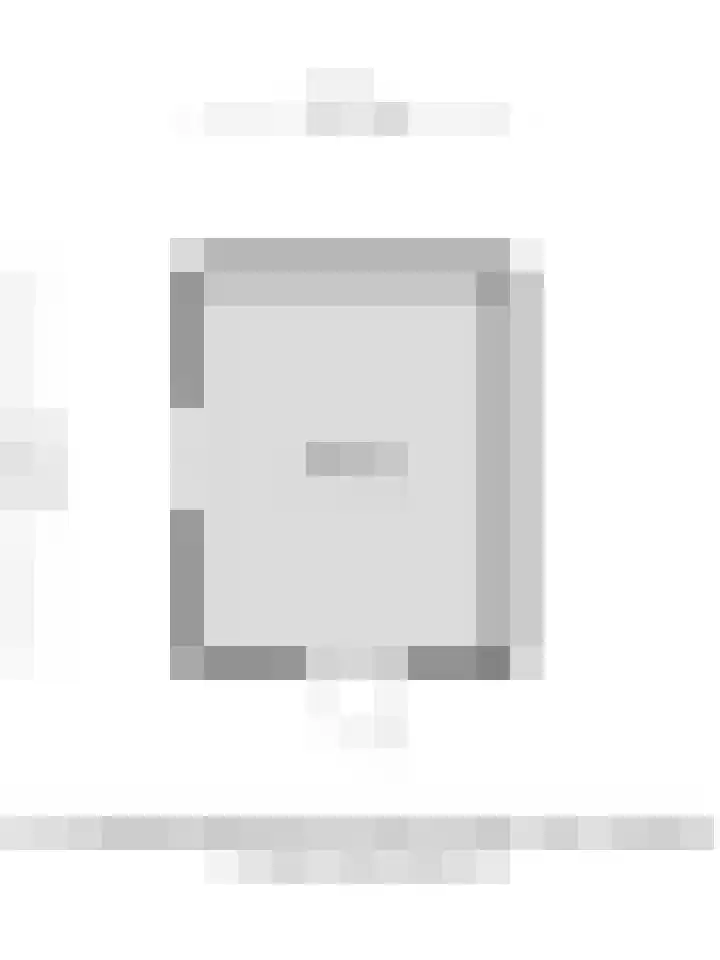 Tolhuislaan 22 Etten-Leur thumbnail 44