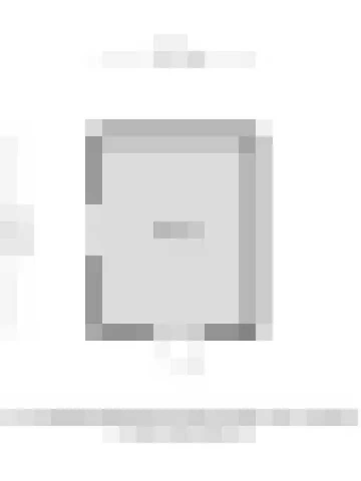 Tolhuislaan 22 Etten-Leur thumbnail 49