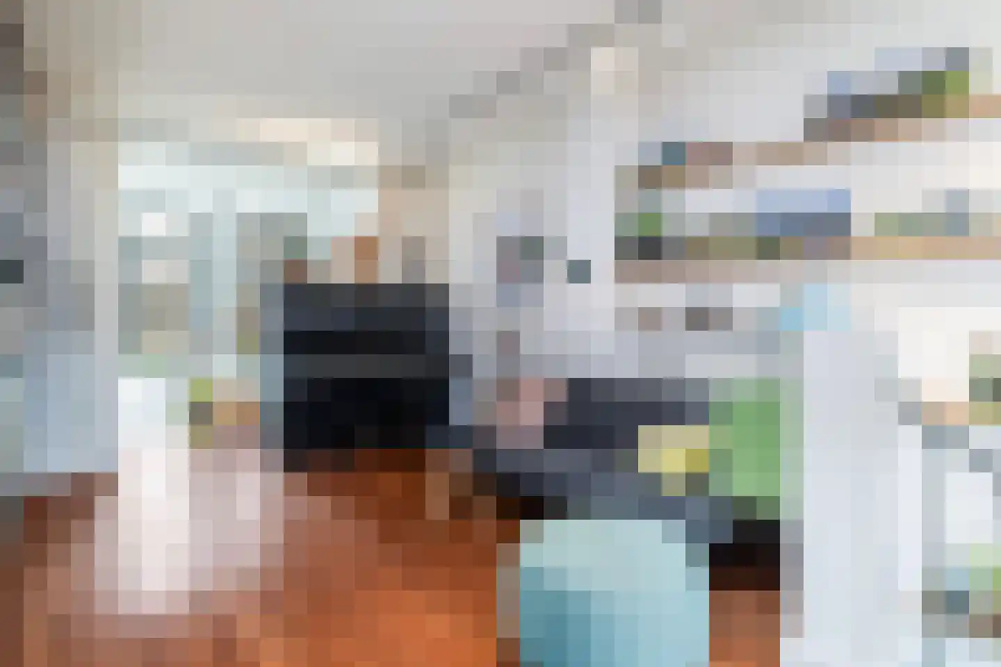 Tolhuislaan 225 Rotterdam thumbnail 10