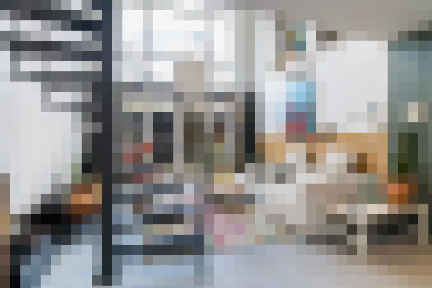 Tolhuislaan 225 Rotterdam thumbnail 14