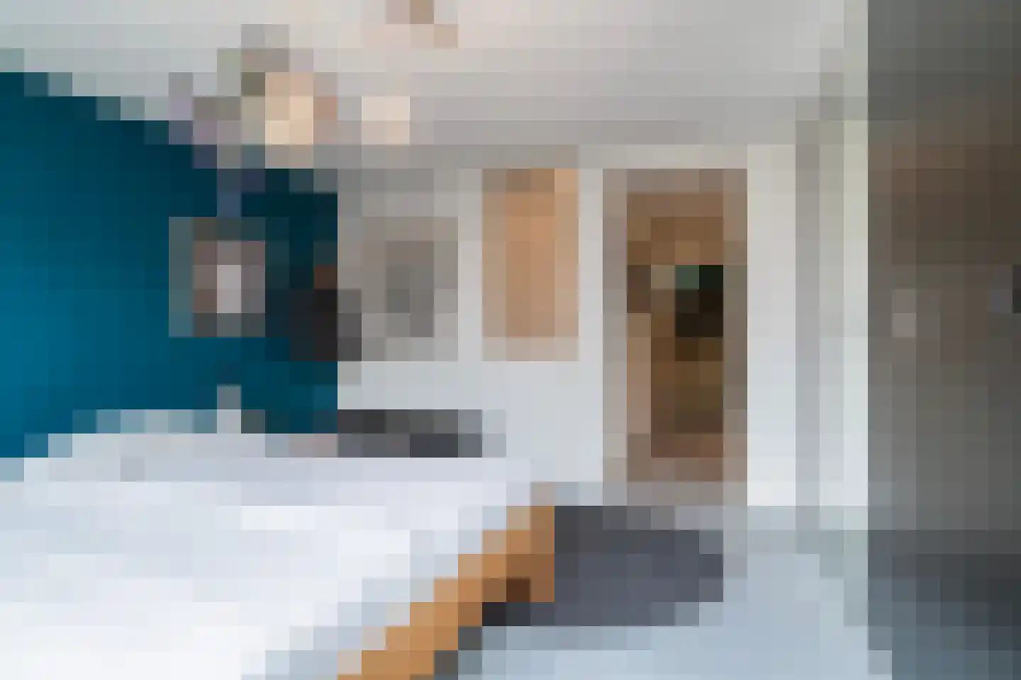 Tolhuislaan 225 Rotterdam thumbnail 18