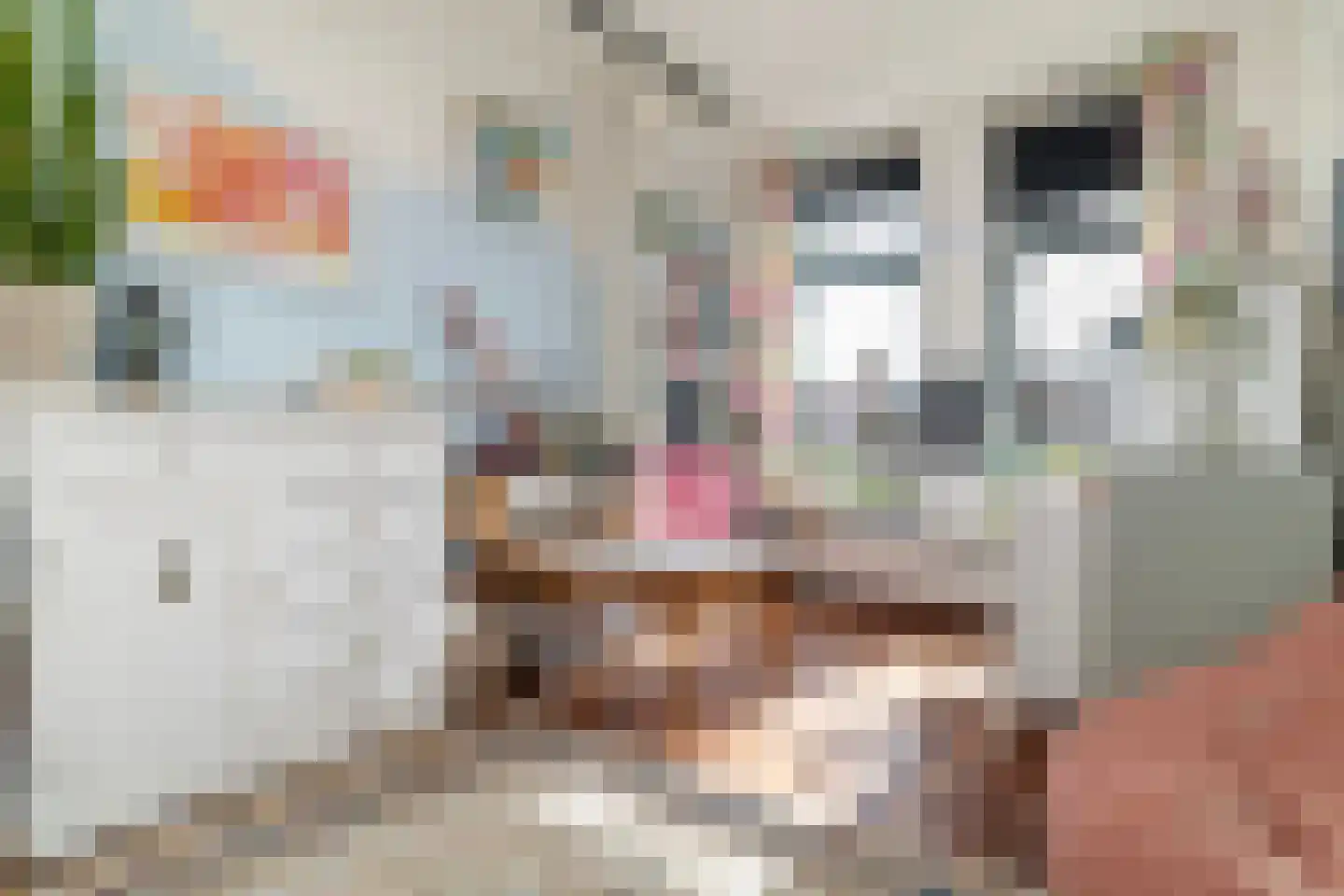 Tolhuislaan 225 Rotterdam thumbnail 19