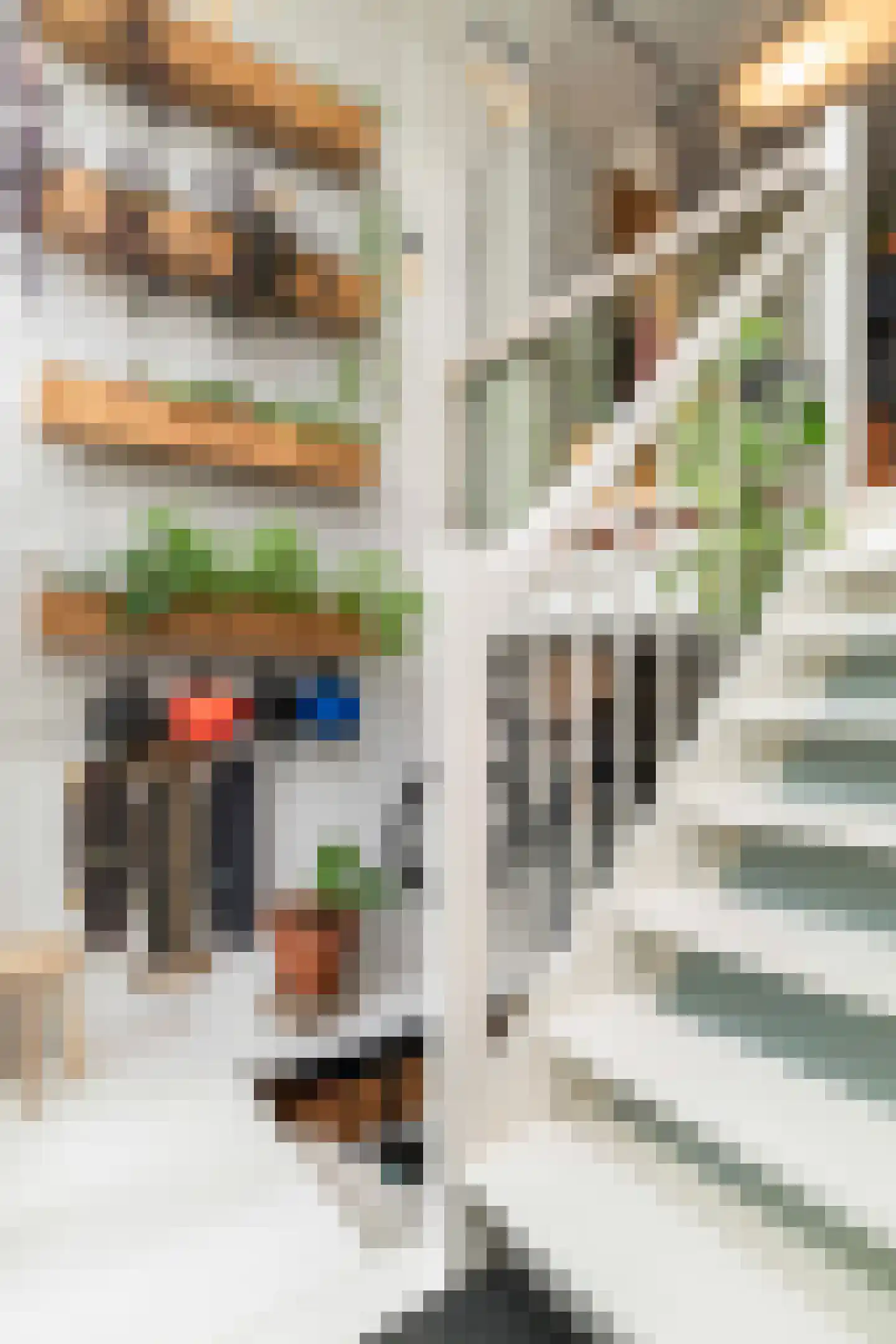 Tolhuislaan 225 Rotterdam thumbnail 26