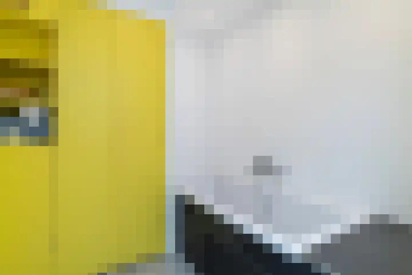 Tolhuislaan 225 Rotterdam thumbnail 30
