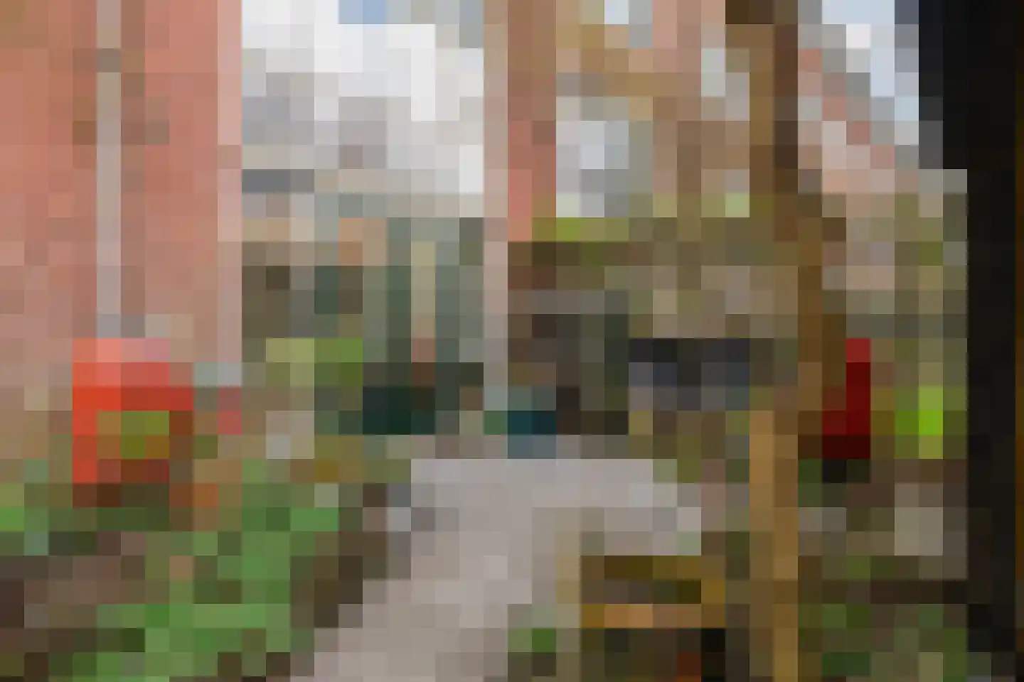 Tolhuislaan 225 Rotterdam thumbnail 34