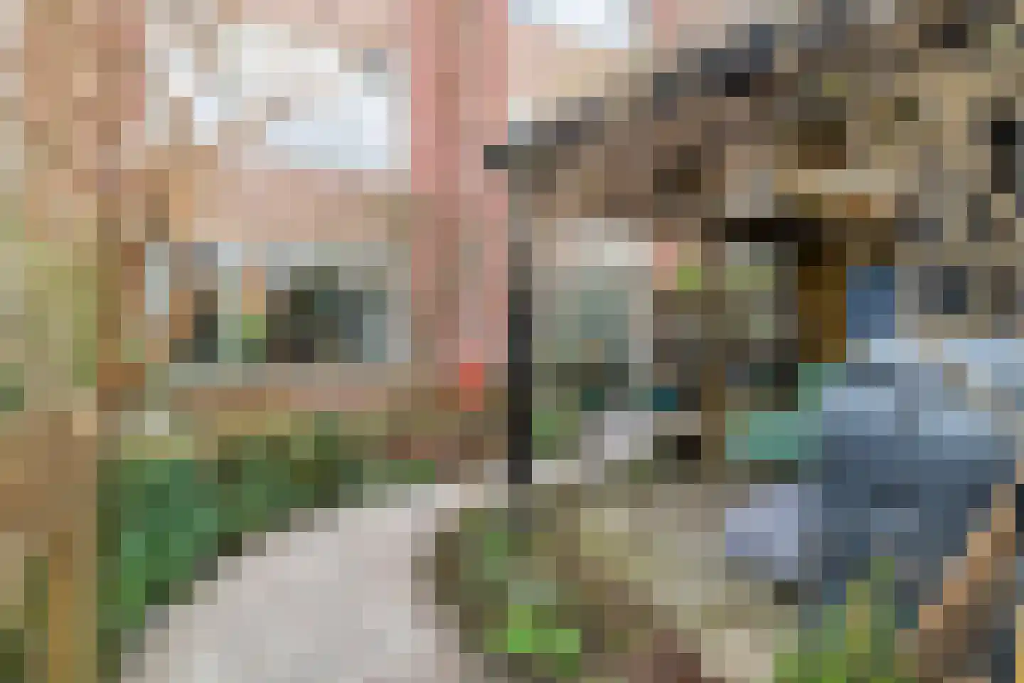 Tolhuislaan 225 Rotterdam thumbnail 35