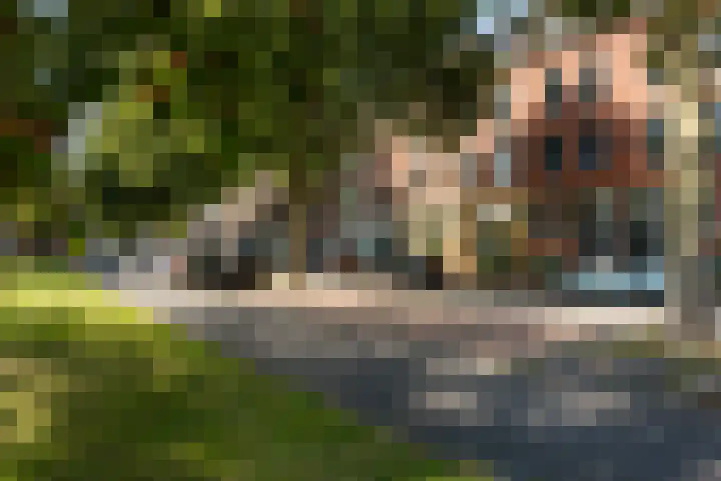 Tolhuislaan 225 Rotterdam thumbnail 42