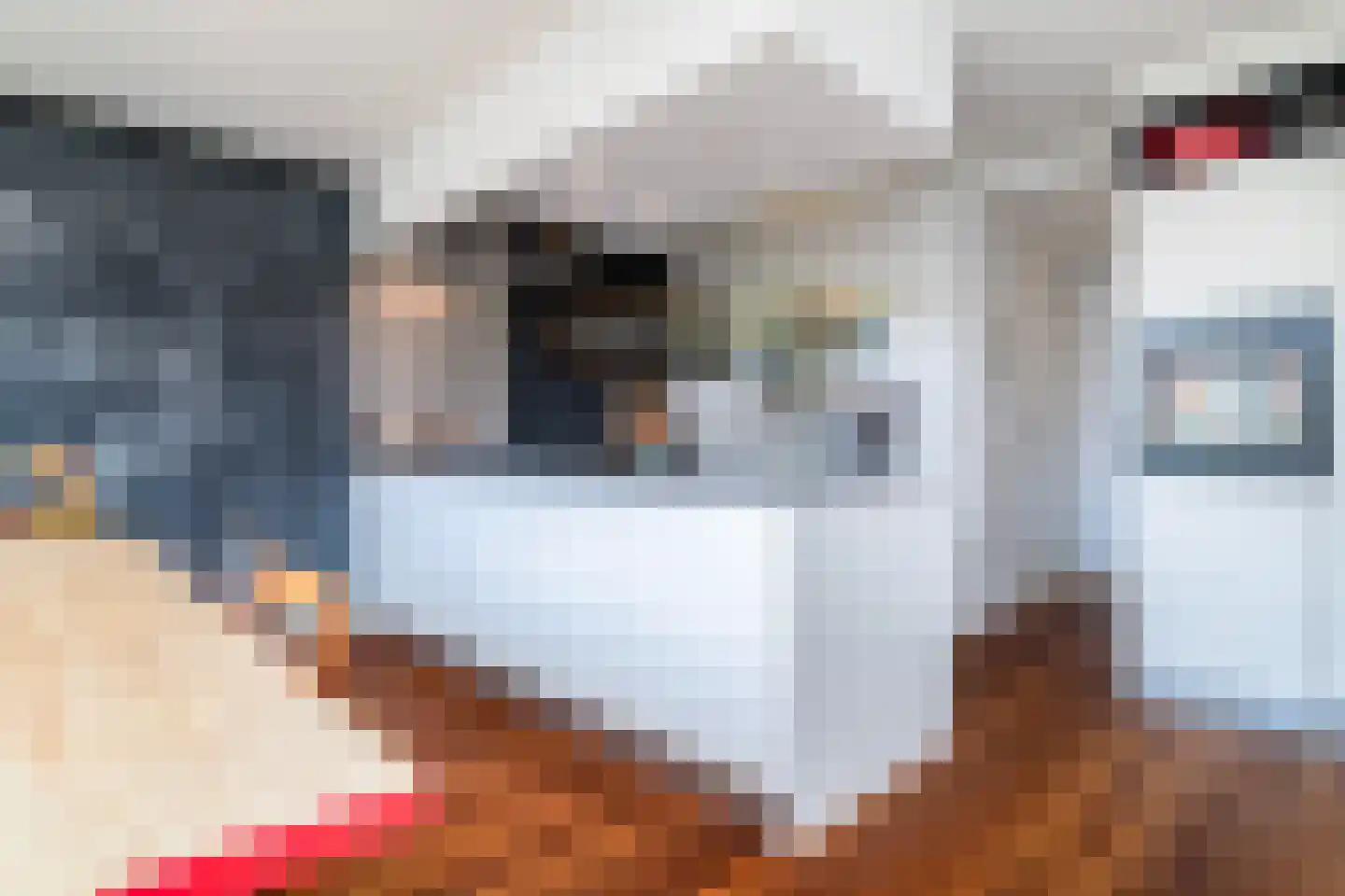 Tolhuislaan 225 Rotterdam thumbnail 6