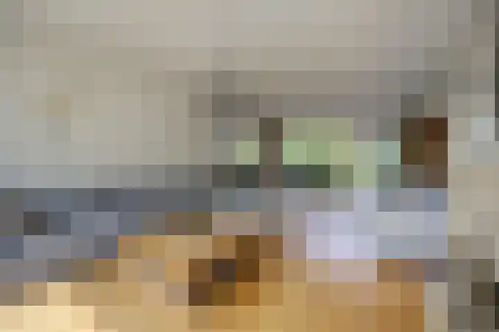 Tolhuislaan 25 Etten-Leur thumbnail 13