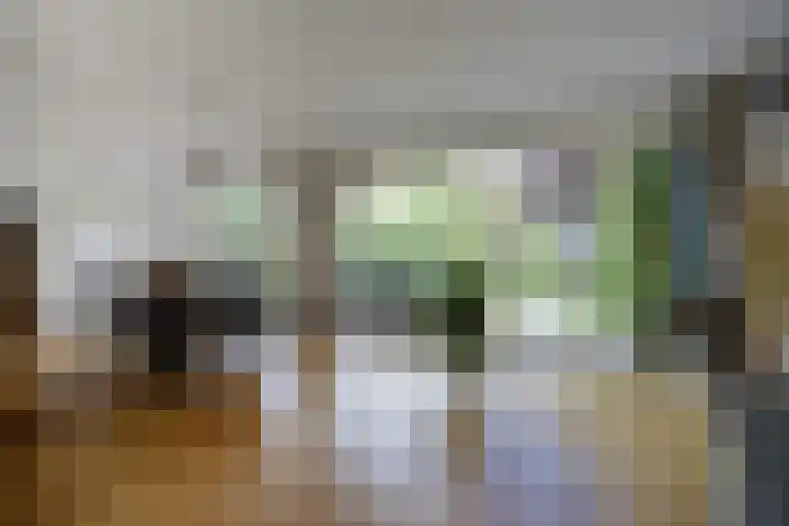 Tolhuislaan 25 Etten-Leur thumbnail 14