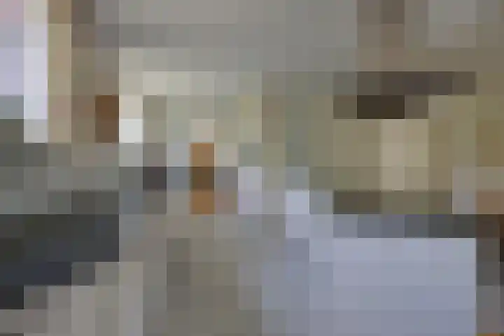 Tolhuislaan 25 Etten-Leur thumbnail 18