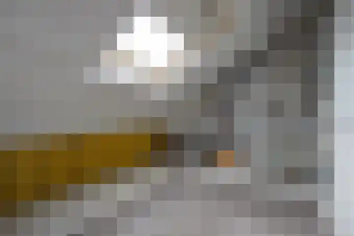 Tolhuislaan 25 Etten-Leur thumbnail 22