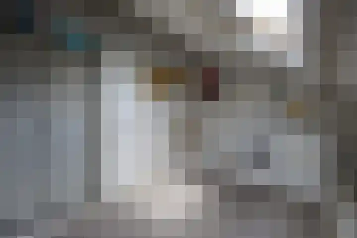 Tolhuislaan 25 Etten-Leur thumbnail 23