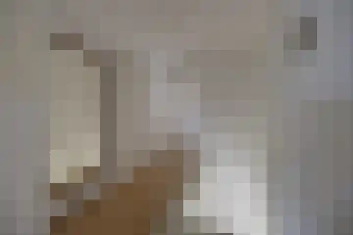 Tolhuislaan 25 Etten-Leur thumbnail 24