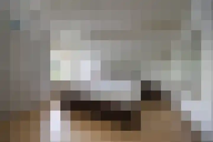 Tolhuislaan 25 Etten-Leur thumbnail 25