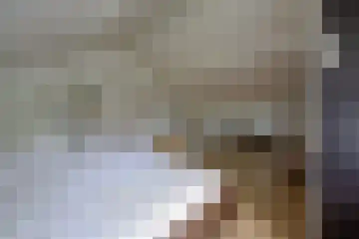 Tolhuislaan 25 Etten-Leur thumbnail 26