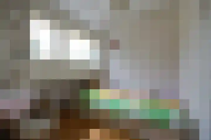 Tolhuislaan 25 Etten-Leur thumbnail 32
