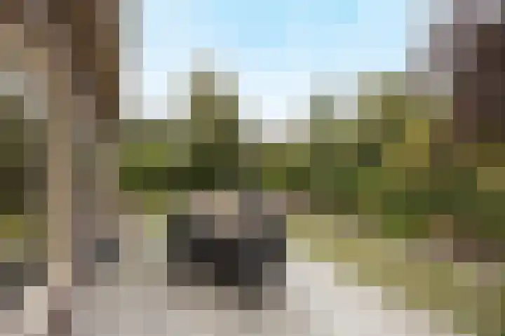 Tolhuislaan 25 Etten-Leur thumbnail 38