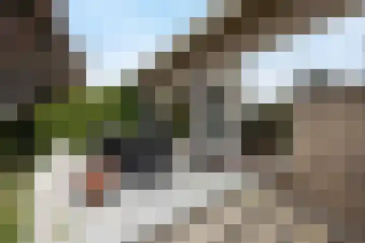 Tolhuislaan 25 Etten-Leur thumbnail 39