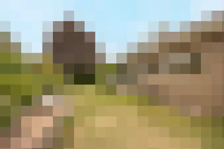 Tolhuislaan 25 Etten-Leur thumbnail 40