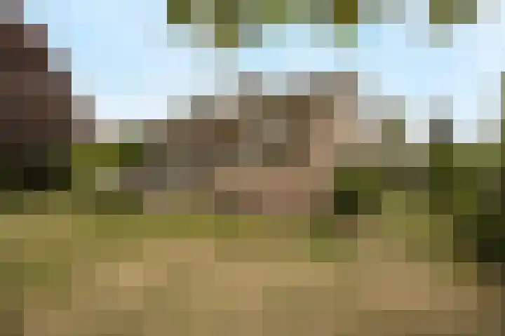 Tolhuislaan 25 Etten-Leur thumbnail 41