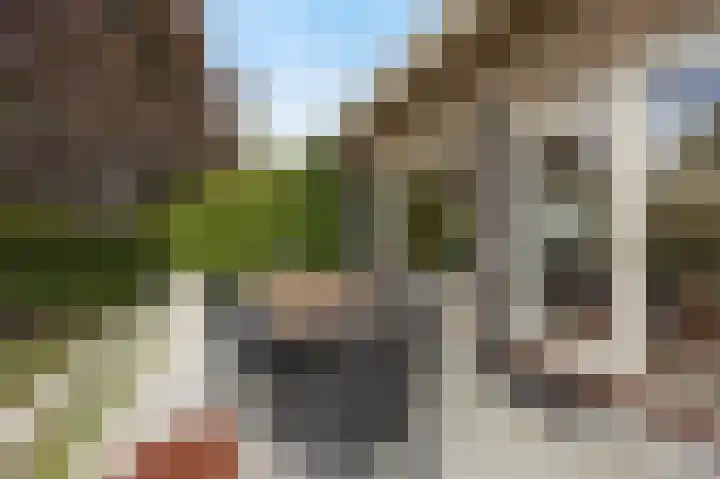 Tolhuislaan 25 Etten-Leur thumbnail 42