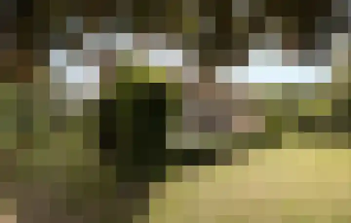 Tolhuislaan 25 Etten-Leur thumbnail 44