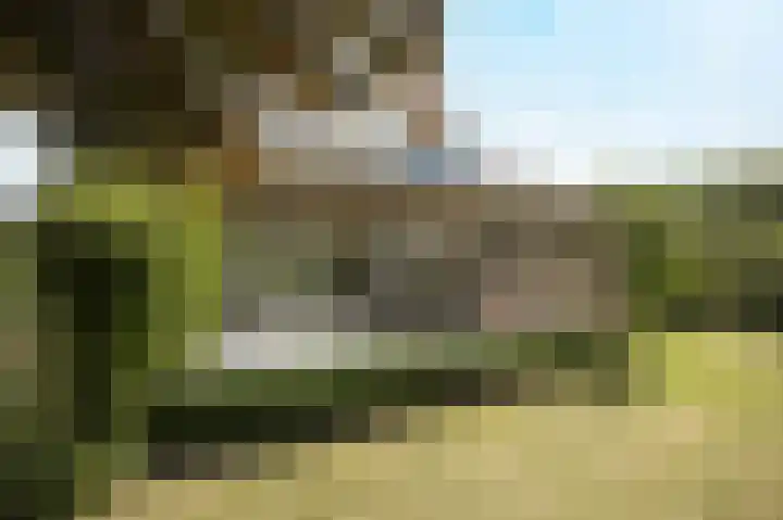 Tolhuislaan 25 Etten-Leur thumbnail 45