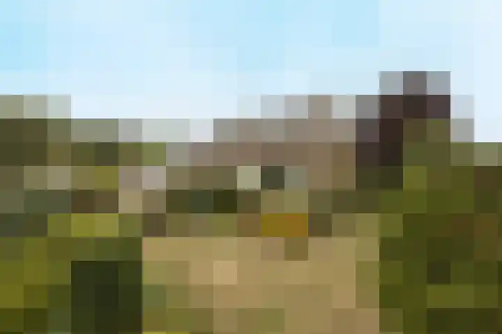 Tolhuislaan 25 Etten-Leur thumbnail 48