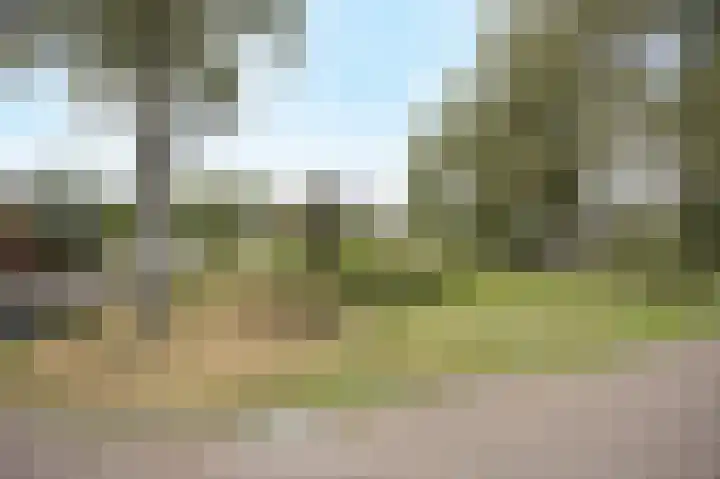Tolhuislaan 25 Etten-Leur thumbnail 49