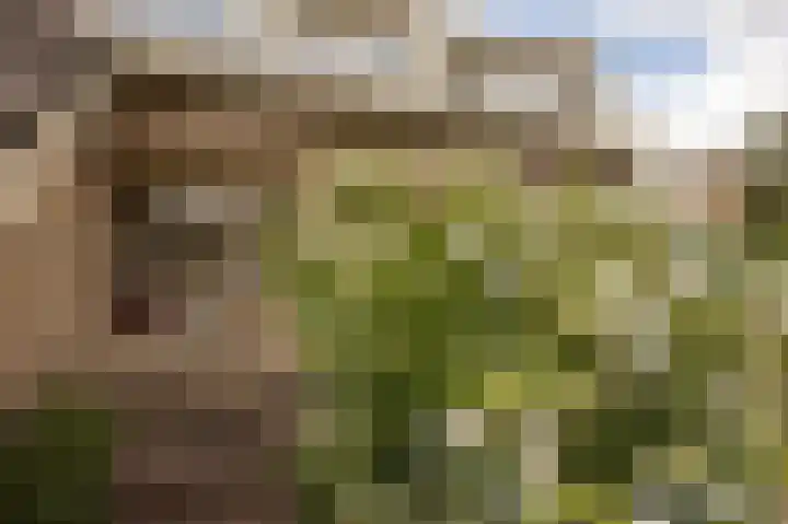 Tolhuislaan 25 Etten-Leur thumbnail 5