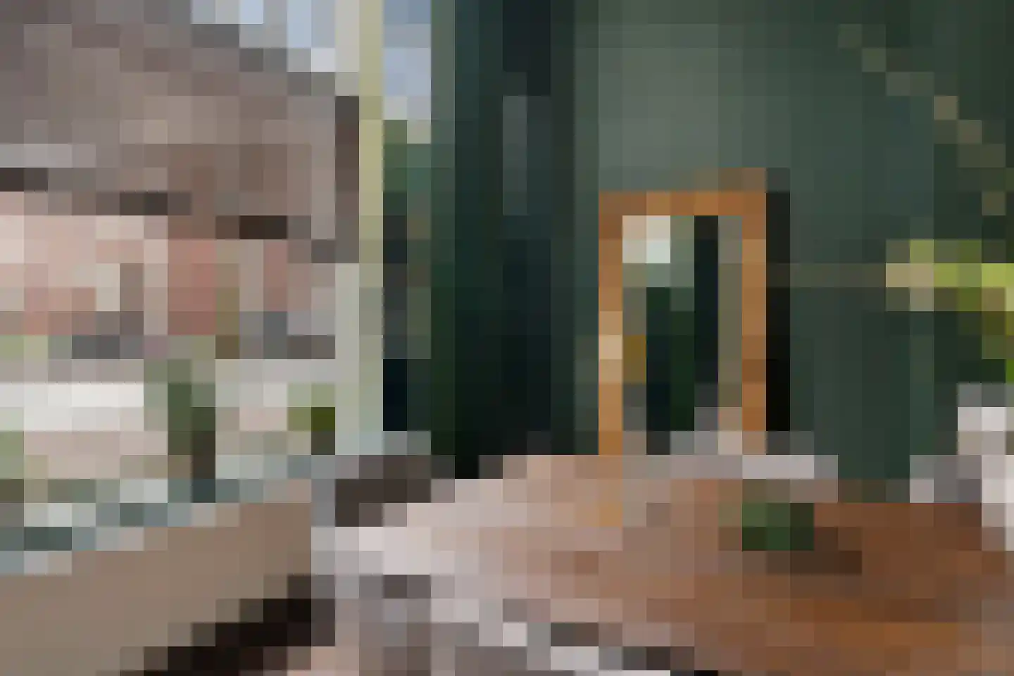 Tolhuislaan 255 Rotterdam thumbnail 11