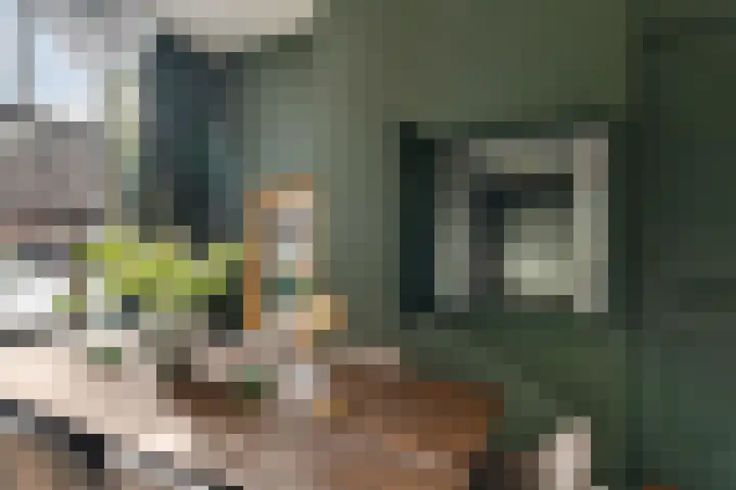 Tolhuislaan 255 Rotterdam thumbnail 14
