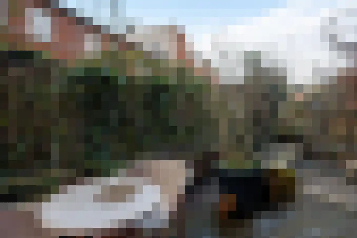 Tolhuislaan 255 Rotterdam thumbnail 23