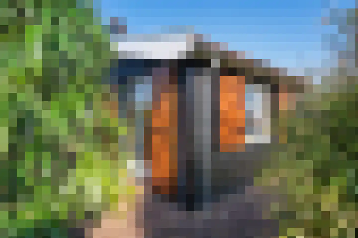 Tolhuislaan 255 Rotterdam thumbnail 31