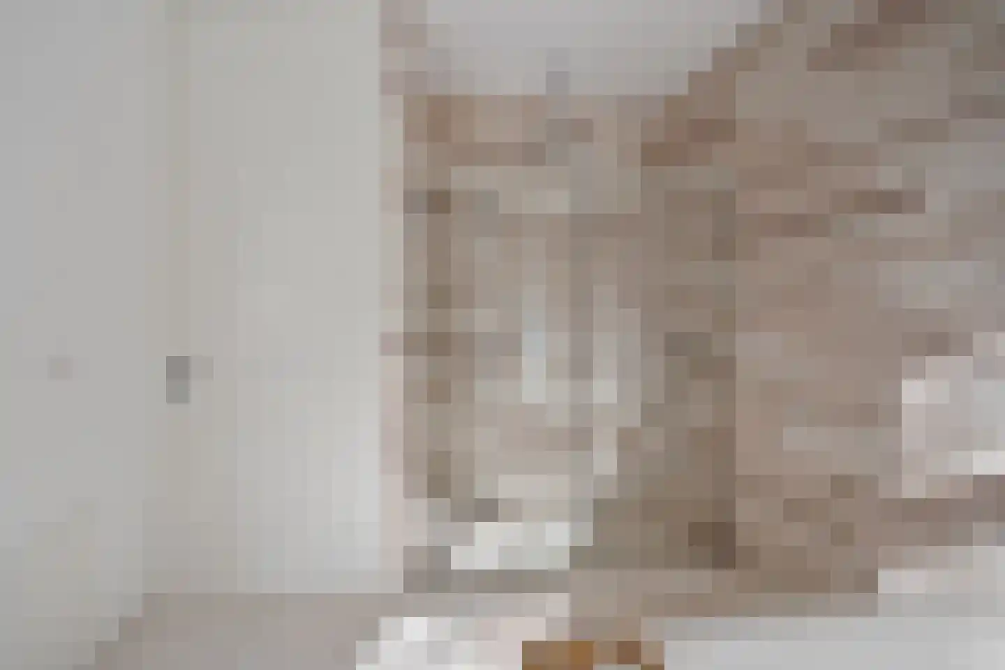 Tolhuislaan 255 Rotterdam thumbnail 32