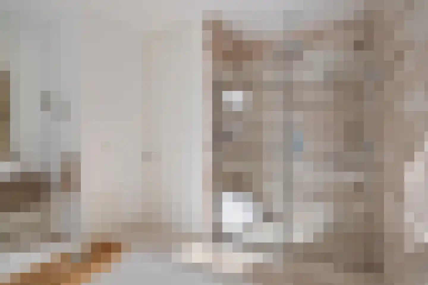 Tolhuislaan 255 Rotterdam thumbnail 33