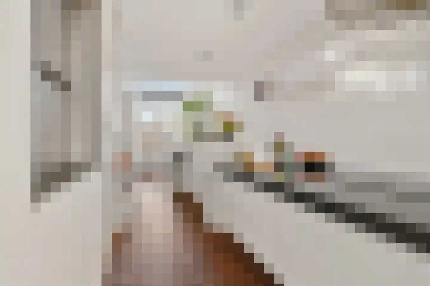 Tolhuislaan 255 Rotterdam thumbnail 37