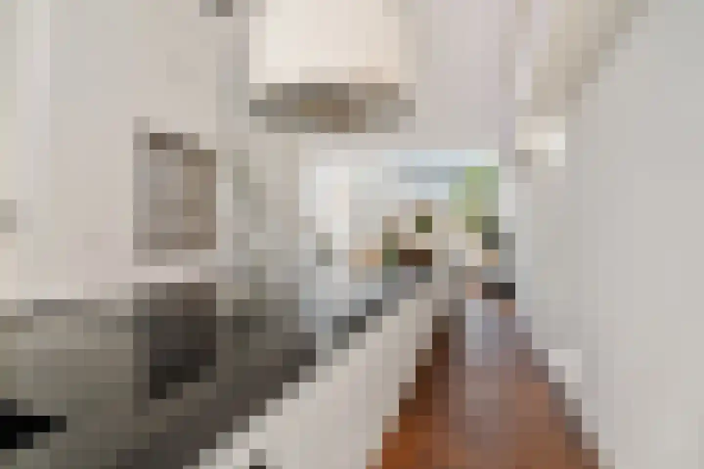 Tolhuislaan 255 Rotterdam thumbnail 38