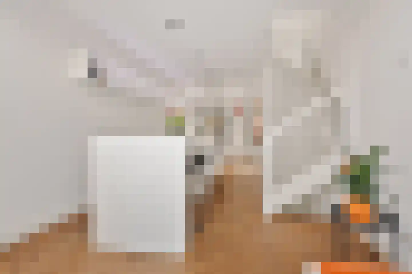 Tolhuislaan 255 Rotterdam thumbnail 44