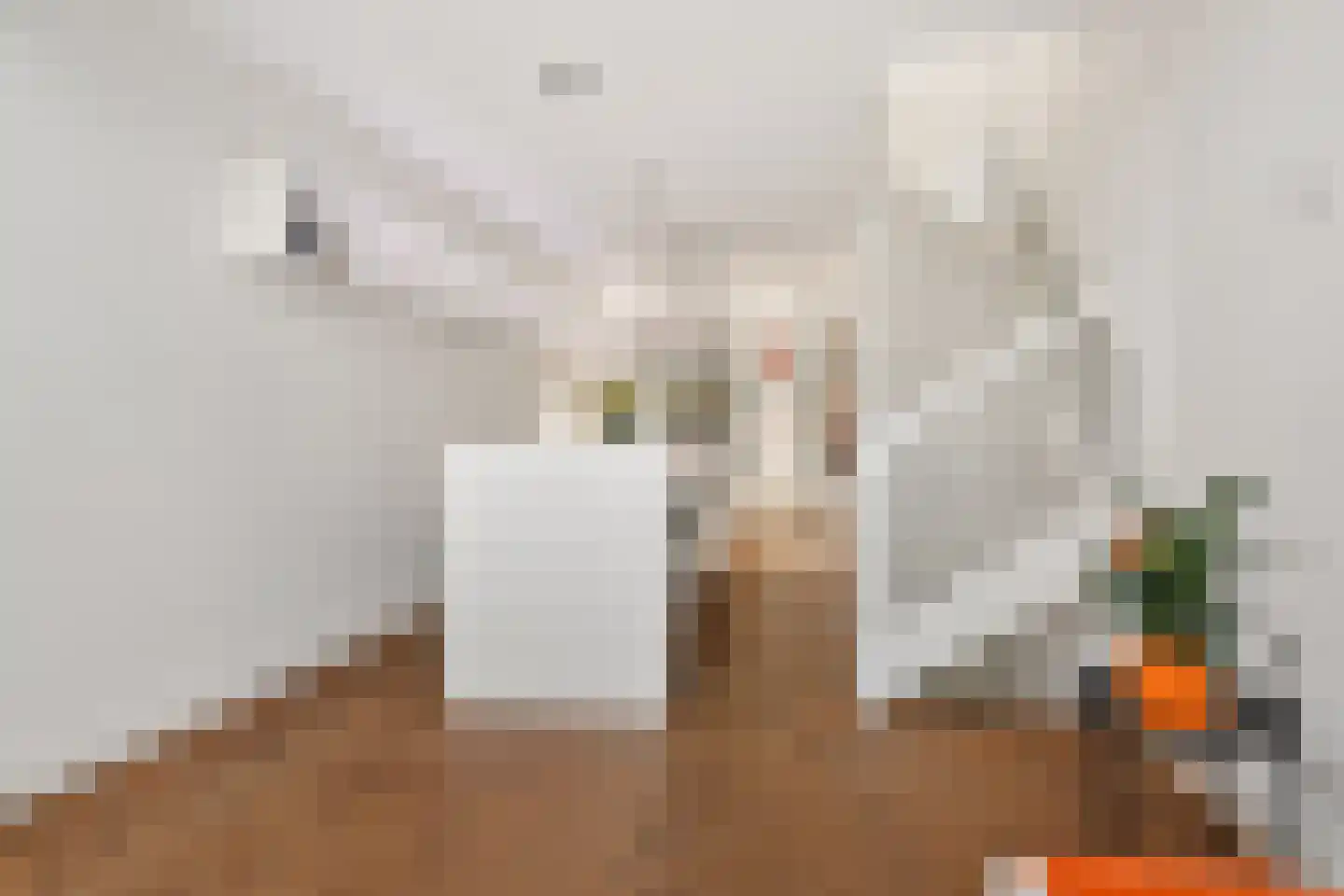 Tolhuislaan 255 Rotterdam thumbnail 45