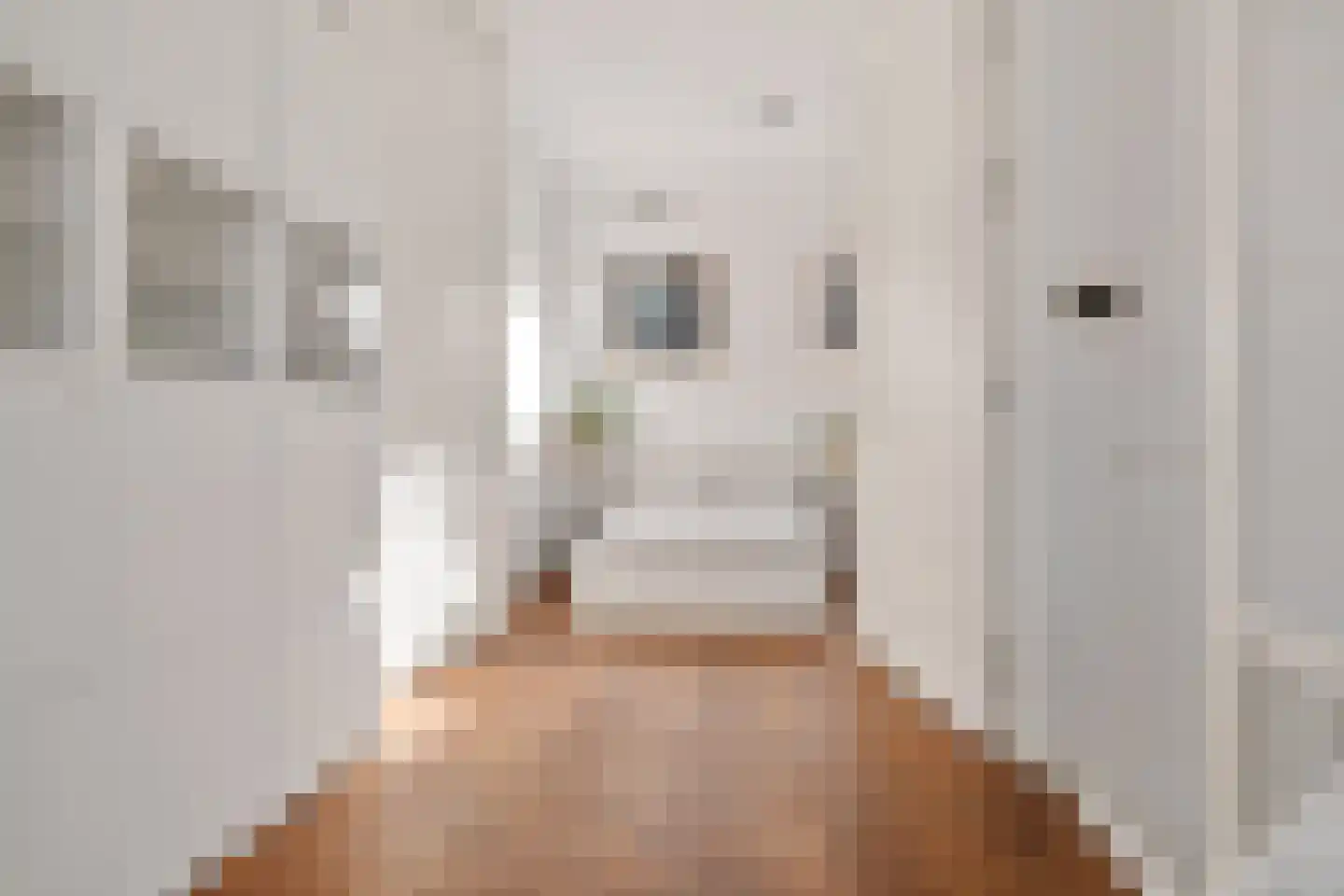 Tolhuislaan 255 Rotterdam thumbnail 53