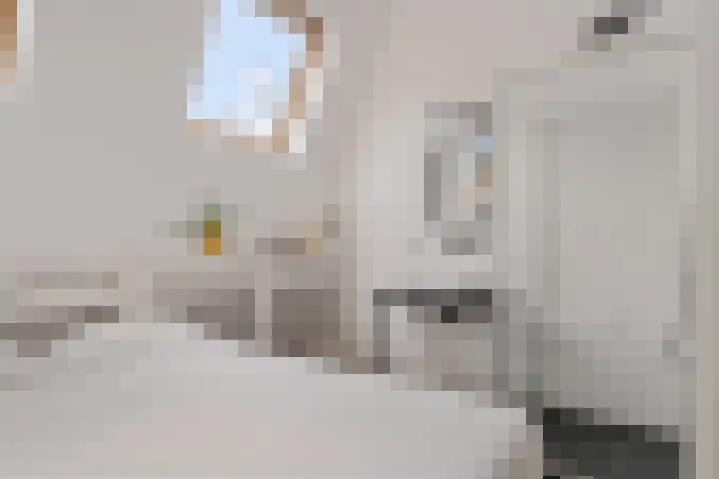 Tolhuislaan 255 Rotterdam thumbnail 56